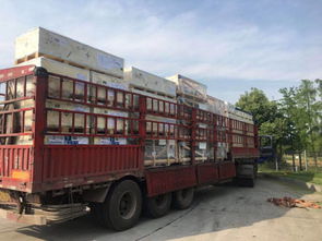 全國道路貨物運輸行業動態與商情資訊概覽