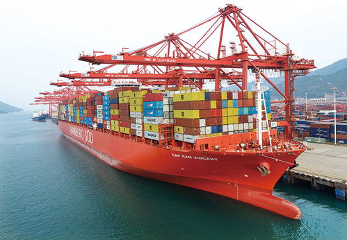 連云港與徐州共創一帶一路標桿通道模式 雙城記賦能江蘇貨運金三角